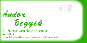 andor begyik business card